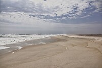 _DSC7192-01