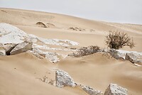_DSC7303-01