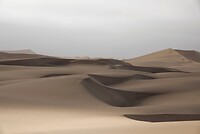 _DSC7400-01