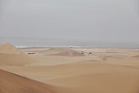 _DSC7402-01