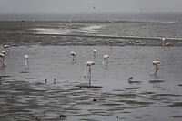 _DSC7460-01