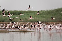 _DSC7498-01
