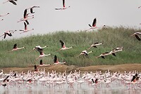 _DSC7499-01