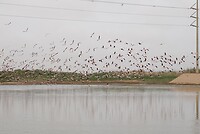 _DSC7505-01