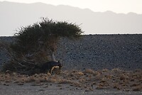 _DSC7554-01