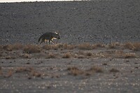 _DSC7562-01