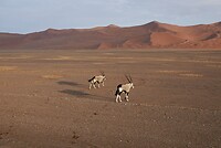 _DSC7570-01