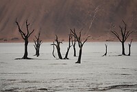 _DSC7689-01