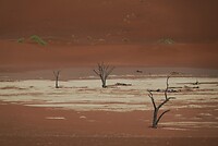_DSC7699-01