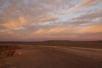 _DSC7964-01
