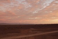 _DSC7971-01