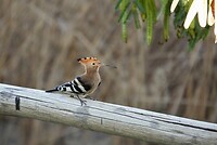 _DSC8055-01