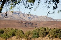 _DSC8056_1-01