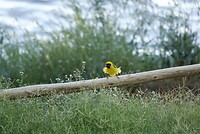 _DSC8058-01