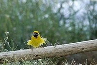 _DSC8059-01