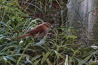 _DSC8068-01