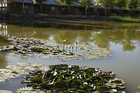 _DSC8075-01