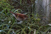 _DSC8069-01