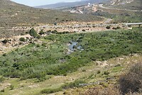 _DSC8099-01