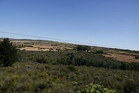 _DSC8103-01