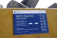 _DSC8151-01