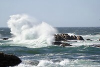 _DSC8157-01