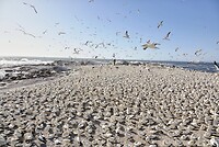 _DSC8634-01