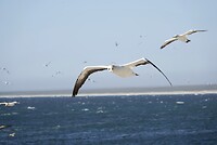 _DSC8647-01