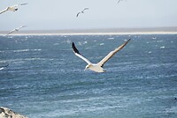 _DSC8711-01