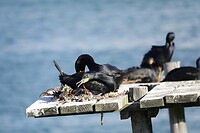 _DSC8756-01