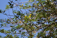 _DSC8028