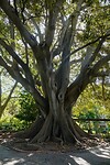 _DSC8916