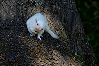 _DSC8946