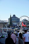 _DSC9023