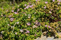 _DSC9054