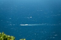 _DSC9056