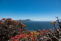 _DSC9100