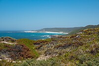 _DSC9201