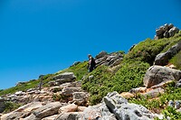 _DSC9213