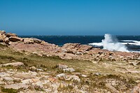 _DSC9226