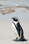 _DSC9532