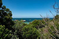 _DSC9576