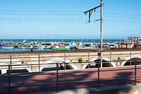 _DSC9595