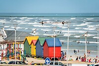 _DSC9609