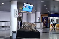 aankomsthal van Victoria Falls International Airport, Zimbabwe