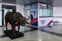 1 van de Big Five in de aankomsthal