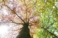 DSC02084-01
