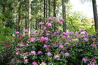 DSC02094-01