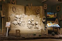 DSC02117-01