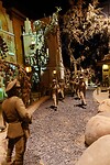 DSC02151-01